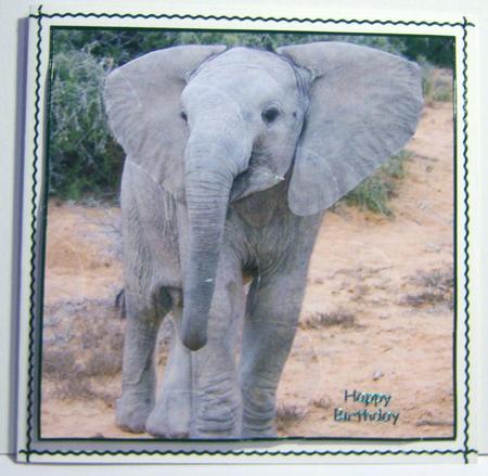 Cute Baby Elephant Shell Edged Corner Stacker by Katie Silver