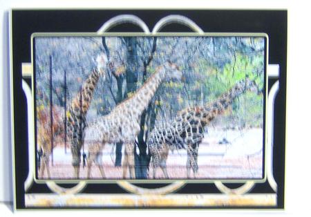 Mens Moments Giraffes and Stone Cottage by Katie Silver
