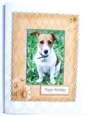 Ivory Backing Paper 1 by Katie Silver