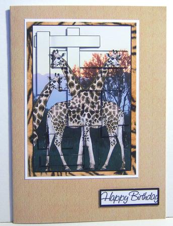 Cinnamon Spice Backing 4 by Katie Silver