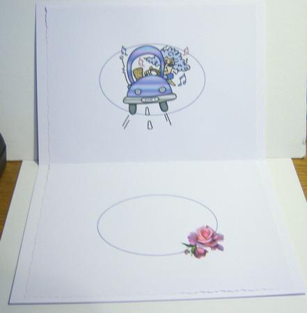 Stella Act Your Age Insert by Katie Silver