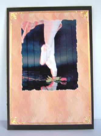 Ballet Slippers & Rose by Katie Silver