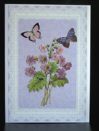 Lace Frames - Elegant 4 by Katie Silver