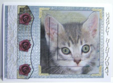 Love a Cat Have a Happy Life by Katie Silver
