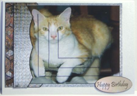 Cat Stuff Ginger Cat by Katie Silver