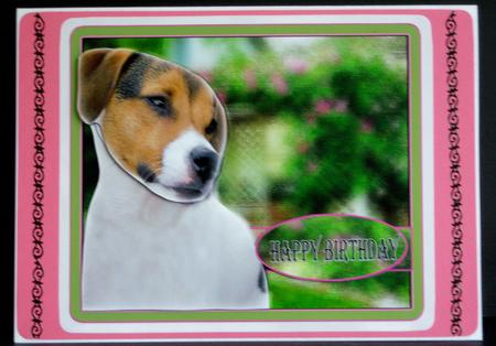 Jack Russell Happy Birthday Best Wishes Step by Step by Katie Silver