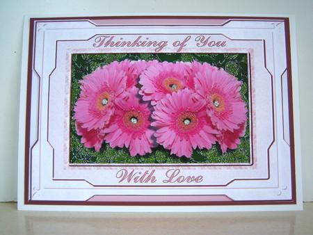 Gerberas by Katie Silver
