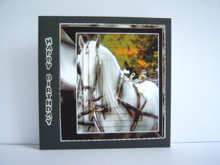 For the Horse Lover by Katie Silver