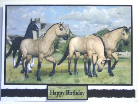 Horses by Katie Silver