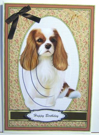 Beautiful King Charles Spaniel in Pyramarge by Katie Silver