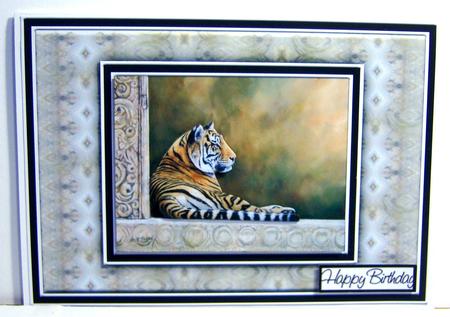 Beautiful Tiger Quick Card by Katie Silver