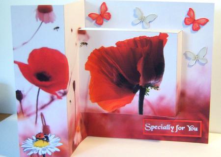 Pop Out Poppy Field by Katie Silver