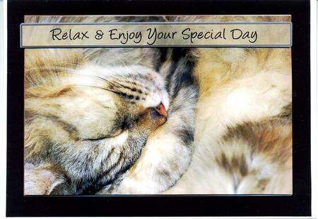 Birthday or Other Relax Day's Greeting Quick Card by Katie Silver