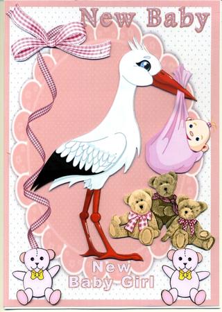 At Last a New Baby Girl by Katie Silver