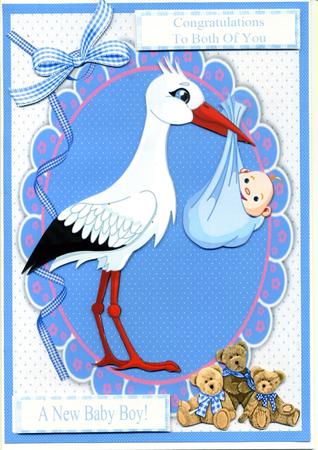 At Last a Baby Boy by Katie Silver