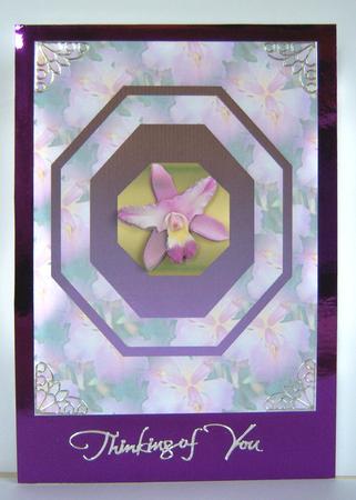 Multi Shade Orchid with Backing Paper by Katie Silver