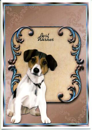 Man's Best Friend! by Katie Silver