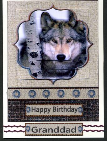 The Lone Wolf by Katie Silver