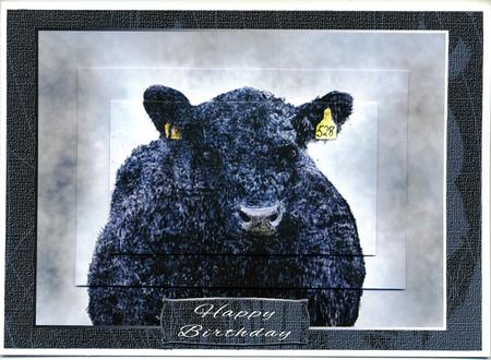 Watercolor Aberdeen Angus Quick Birthday or Other Card by Katie Silver