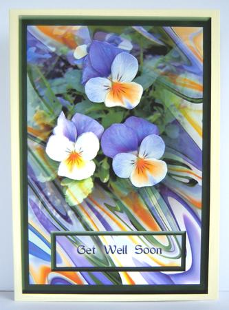 Pansies I by Katie Silver