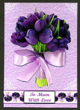 Tulips, Lilac by Katie Silver