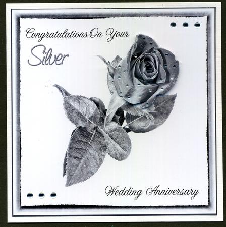 Silver Wedding Anniversary Rose by Katie Silver