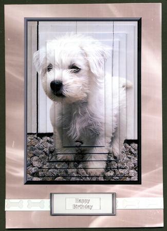 Westie Puppy Scene Pyramid by Katie Silver