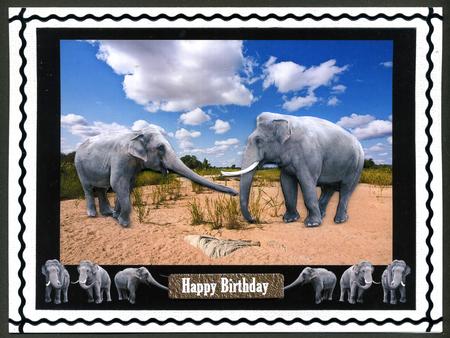 Safari Elephants by Katie Silver