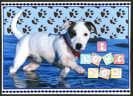 Jack Russell I Love You by Katie Silver