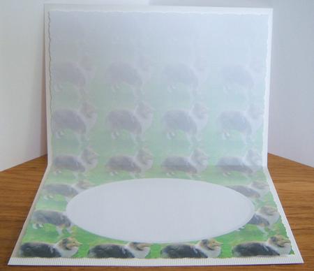 Sheltand Sheepdog Insert by Katie Silver