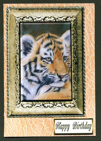 Duel Orange Lace Textured Backing Paper by Katie Silver