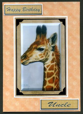 Citrus Splash Backing Paper by Katie Silver