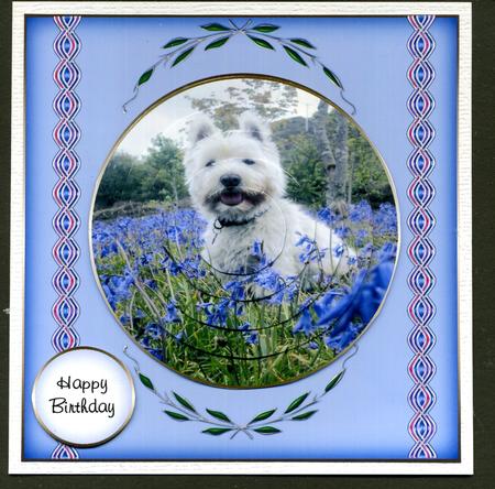 Murphy in the Bluebells Min Kit by Katie Silver