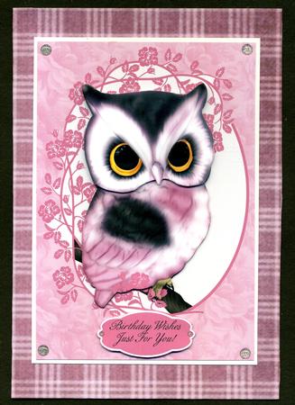 Dusky Rose Plaid Paper by Katie Silver