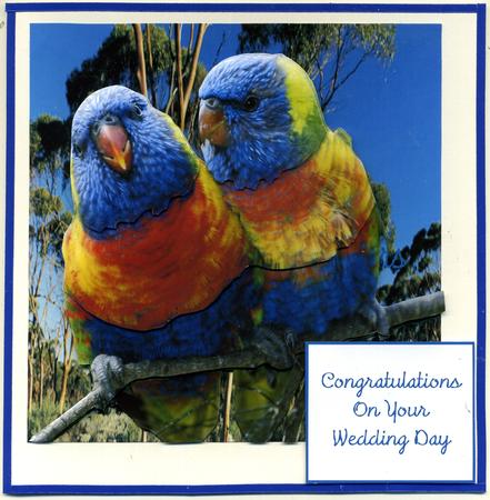 Mr and Mrs Together Forever Card Kit by Katie Silver