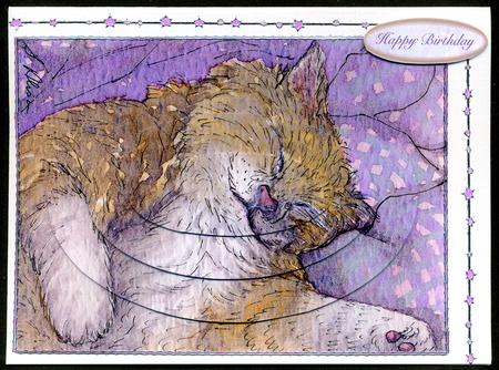 Cat Nap Oval Pyramage by Katie Silver
