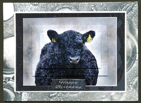 Duel Glass Bubbles Silver Backing Paper by Katie Silver