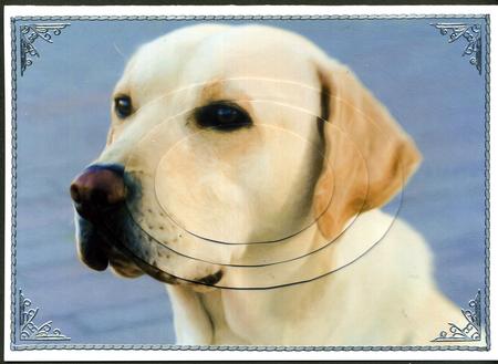 Cute Dog Oval Pyramid 1 by Katie Silver