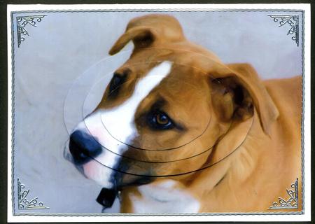Cute Dog Oval Pyramid 2 by Katie Silver