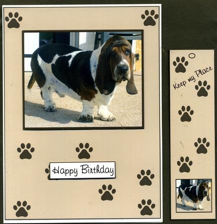Bertie Basset with Bookmark by Katie Silver