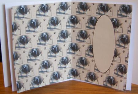 Bertie Basset Insert by Katie Silver