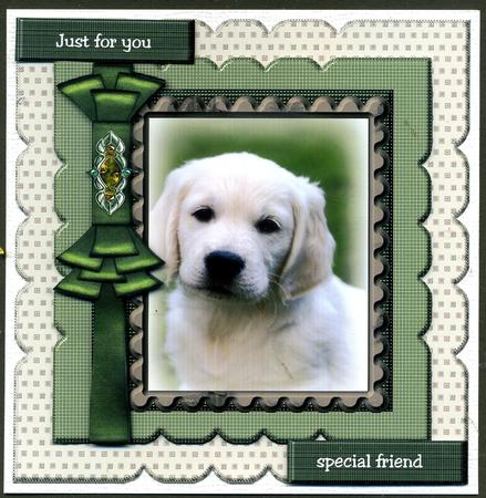 Birthday Boy Puppy in Scallop Frame by Katie Silver