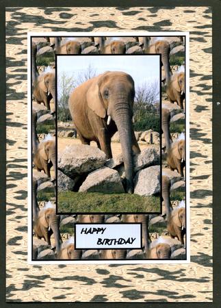 Beige Backing Sheet by Katie Silver