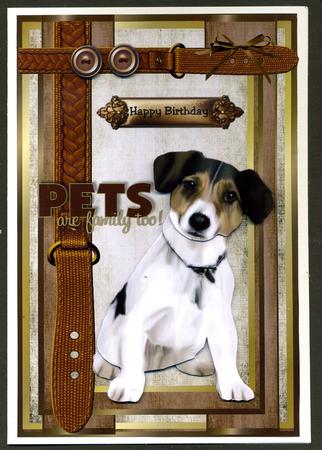 Belated Birthday /birthday Jack Russel by Katie Silver