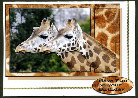 Giraffe High Jinks by Katie Silver