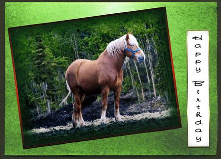 Duel Backing Paper - Distressed Ink - Green by Katie Silver