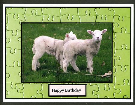Little Lambs by Katie Silver