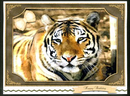 Big Beautiful Tiger Watercolour Quick Card by Katie Silver