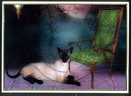 Cat and Armchair Circle Pyramage by Katie Silver