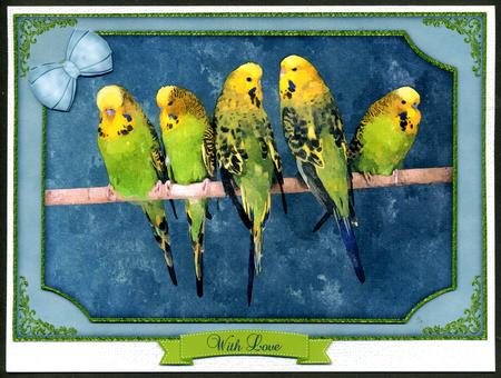 Row of Budgies Watercolour Quick Card by Katie Silver